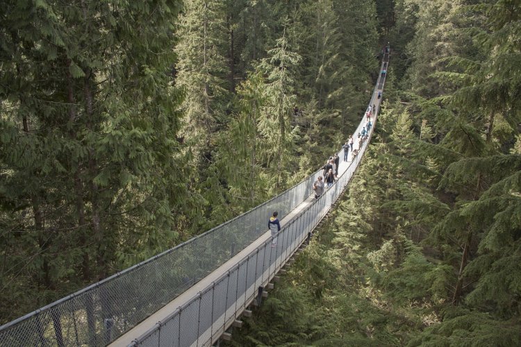 capilano-suspension-bridge-1393076_1280